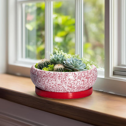 Succulent Pots - 8 Inch Bonsai Pots for Indoor Outdoor, Shallow Ceramic Planter with Drainage Hole