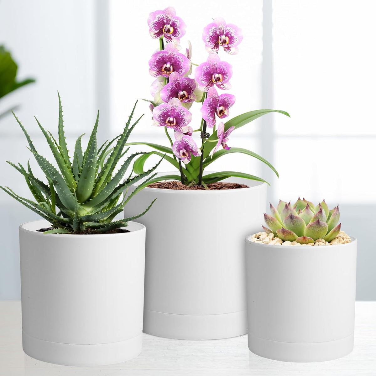 7/6.5/6/5/4 inch Flower Pots, 5 Pack Cylinder Plant Pots for Small Indoor Outdoor Plants, Plastic