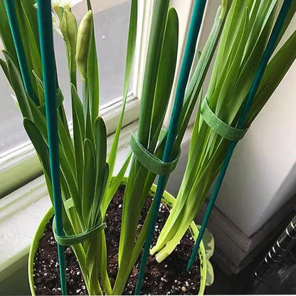 GXXMEI 100PCS 18" Plant Sticks Support with 100PCS Green Garden Ties, Green Bamboo Sticks, Garden