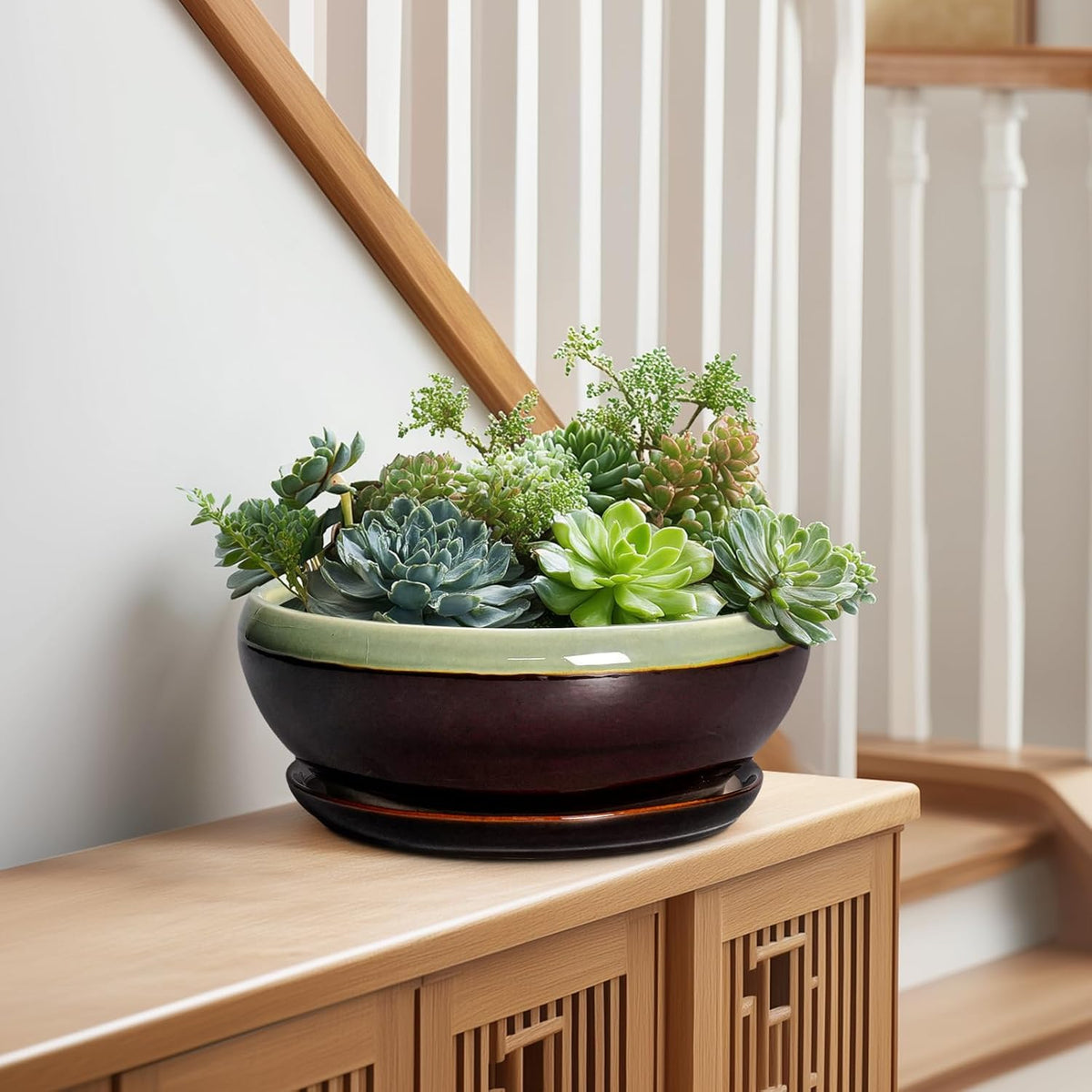 SQOWL Succulent Planters 10 Inch - Ceramic Bonsai Pots with Drainage Hole and Saucer, Shallow