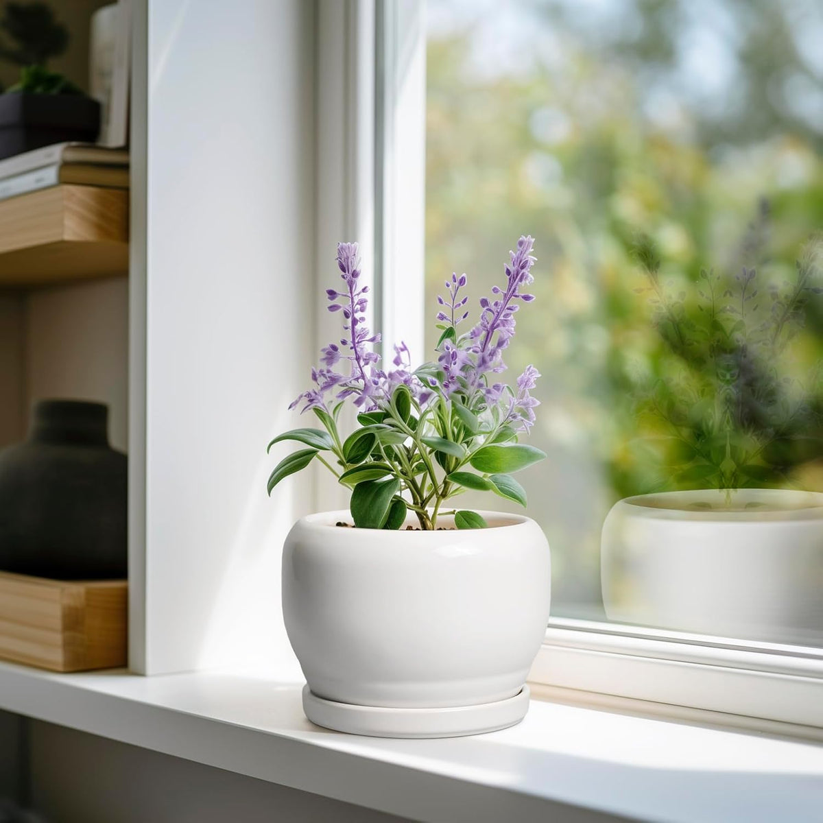 SQOWL Ceramic Flower Pots - 6 Inch Plant Pot Indoor Outdoor, Ceramic Planter with Drainage Hole and
