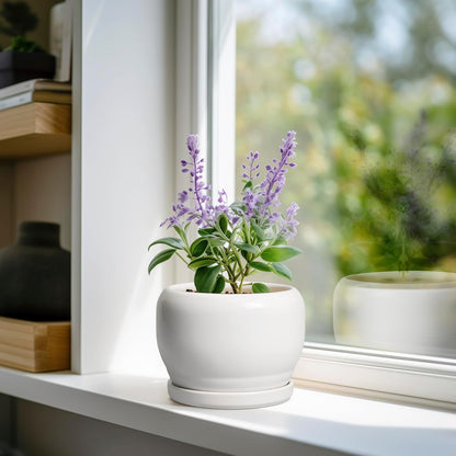 SQOWL Ceramic Flower Pots - 6 Inch Plant Pot Indoor Outdoor, Ceramic Planter with Drainage Hole and