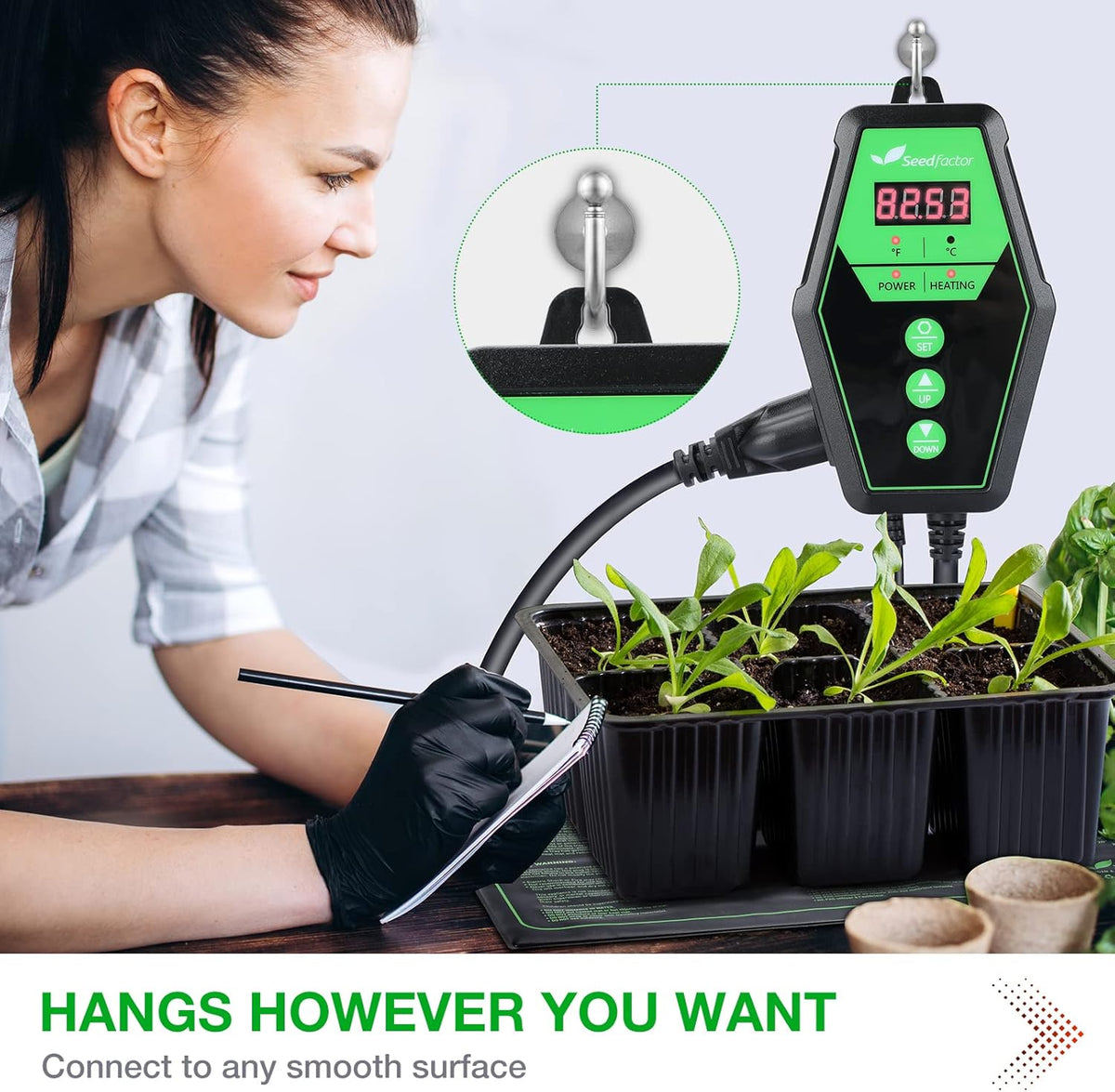 Seedfactor Digital Heat Mat Thermostat Controller for Seed Germination, Reptiles and Brewing