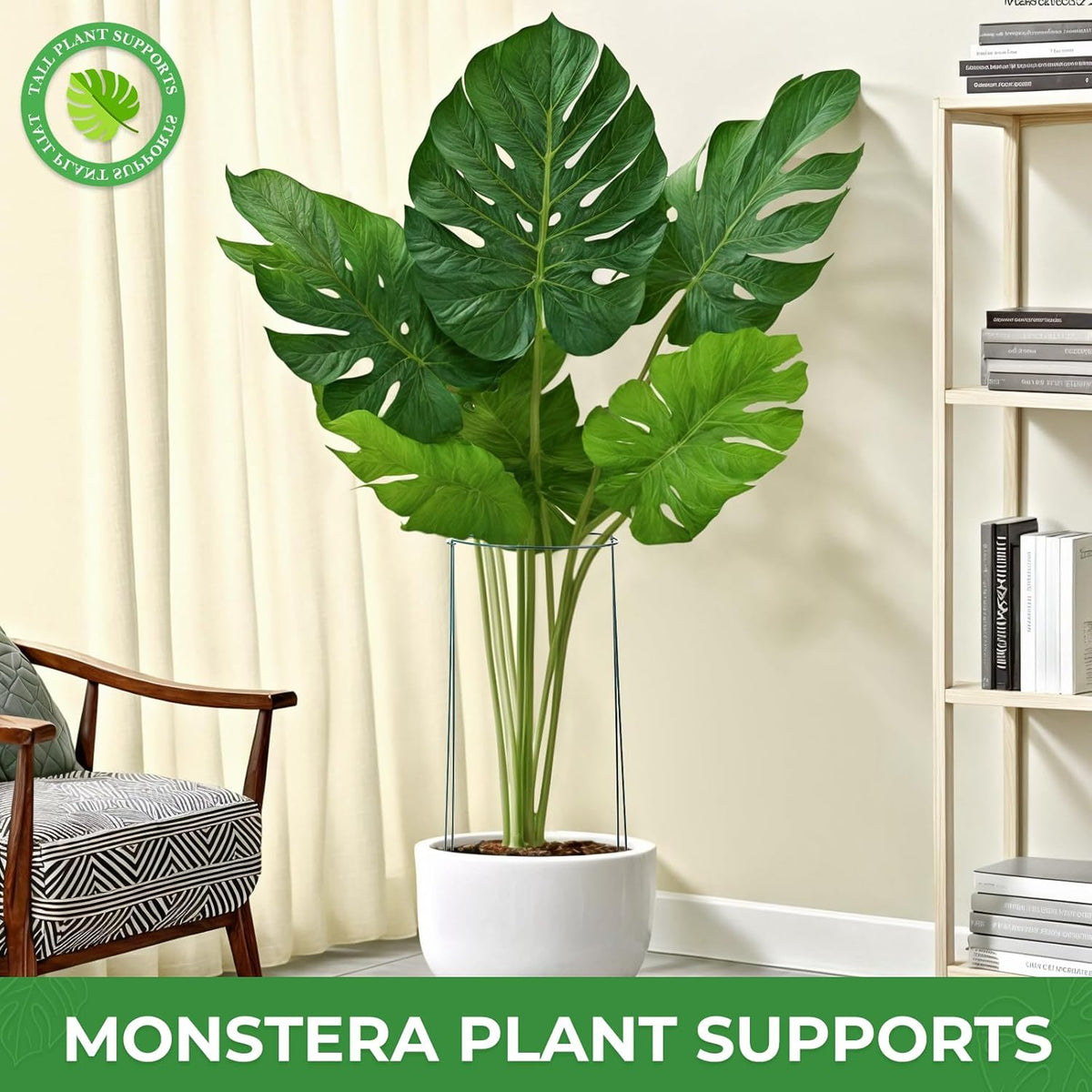 LEOBRO 24 Inch Plant Support Stakes, 6PCS Plant Stakes, Peony Cages and Supports, Garden Stakes