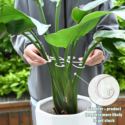 6.5 * 6.5in Monstera Plant Support Hook 5PCS - Durable Stabilizer & Leaf Holder for Indoor Plants