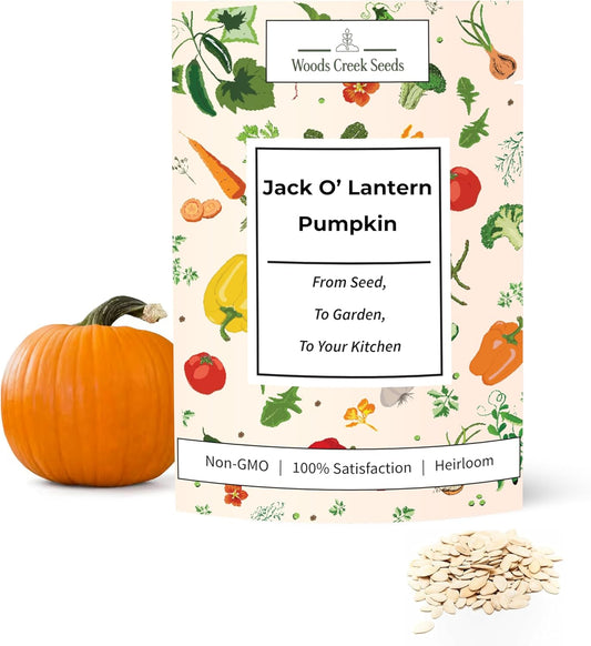 Woods Creek Seeds: Jack O Lantern Pumpkin Seeds for Planting - Over 40 Heirloom Non-GMO Pumpkin