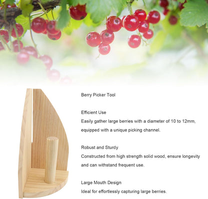 MAVIS LAVEN Berry Picker Tool, Wooden Gooseberry Harvesting Scoop, Large Mouth Design Berrry