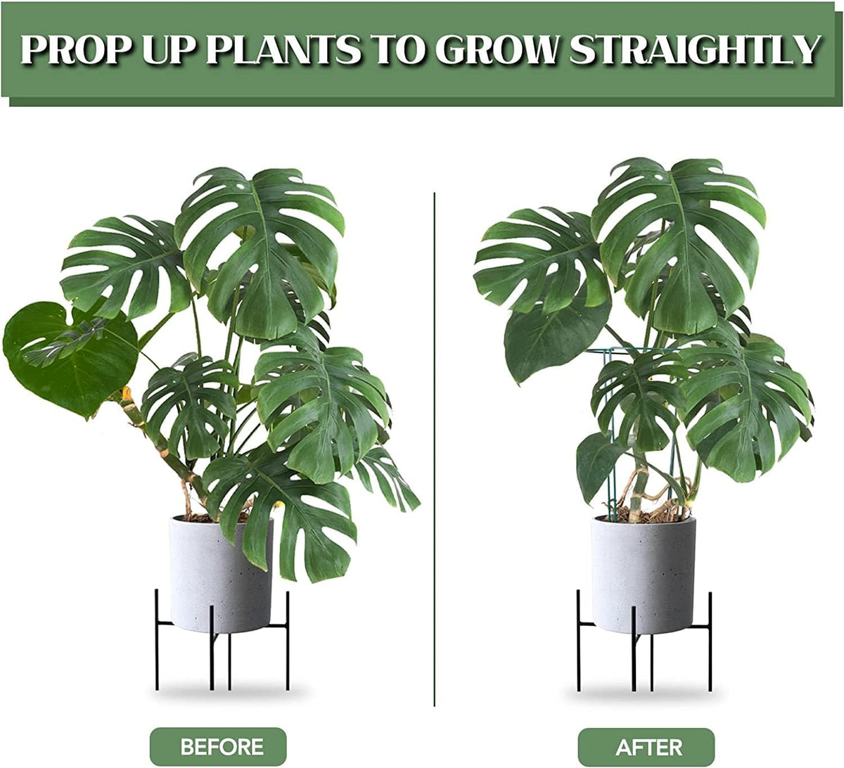 Joyhalo 12 Pack Tall Snake Plant Support Stakes for Indoor Plants 24 Inch, Peony Cages and