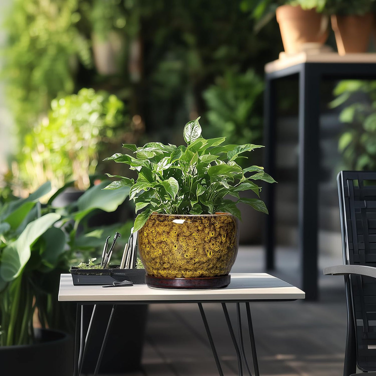 SQOWL Ceramic Flower Pots - 8 inch Ceramic Planter for Indoor Plants, Decorative Plant Pots with