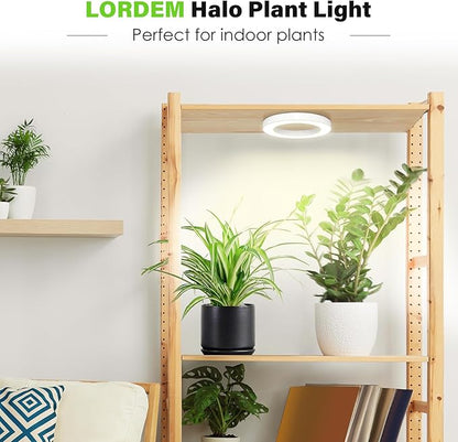 LORDEM 6.3” Ceiling Grow Light for Indoor Plants, 72 LEDs Full Spectrum Halo Plant Light, Under