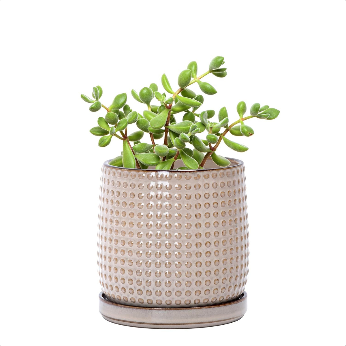 D'vine Dev 4 Inch Ceramic Beaded Stoneware Planter Pot - Flower Pot with Drainage Holes and Saucers