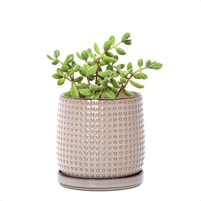 D'vine Dev 4 Inch Ceramic Beaded Stoneware Planter Pot - Flower Pot with Drainage Holes and Saucers
