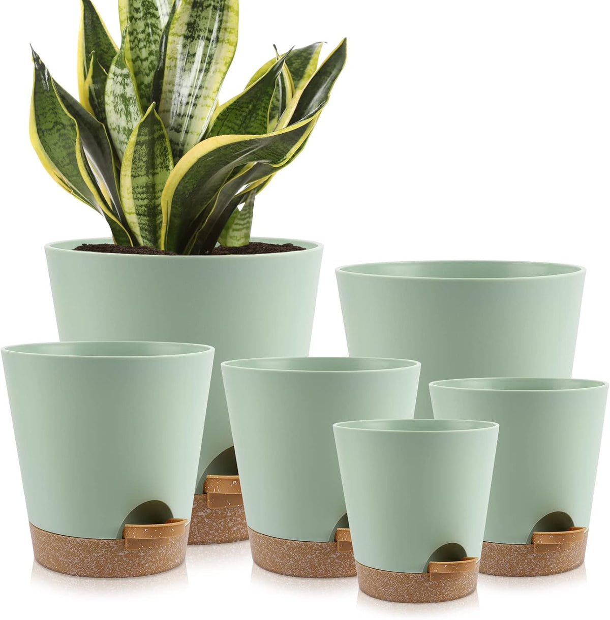 Indoor Self Watering Planters with Drainage Holes and Saucers, 8, 7, 6.5, 6, 5.5, 5 Inches, Green