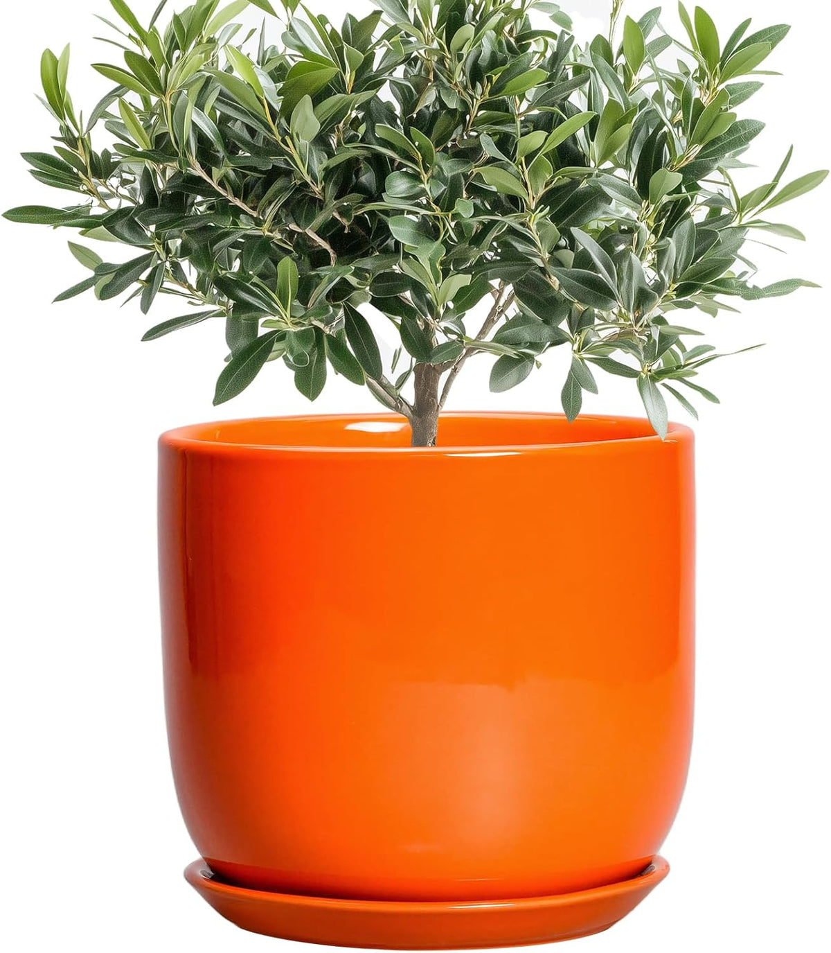 Ceramic Pot for Plants - 8 Inch Plant Pot with Drainage Hole and Saucer, Cylinder Modern Round