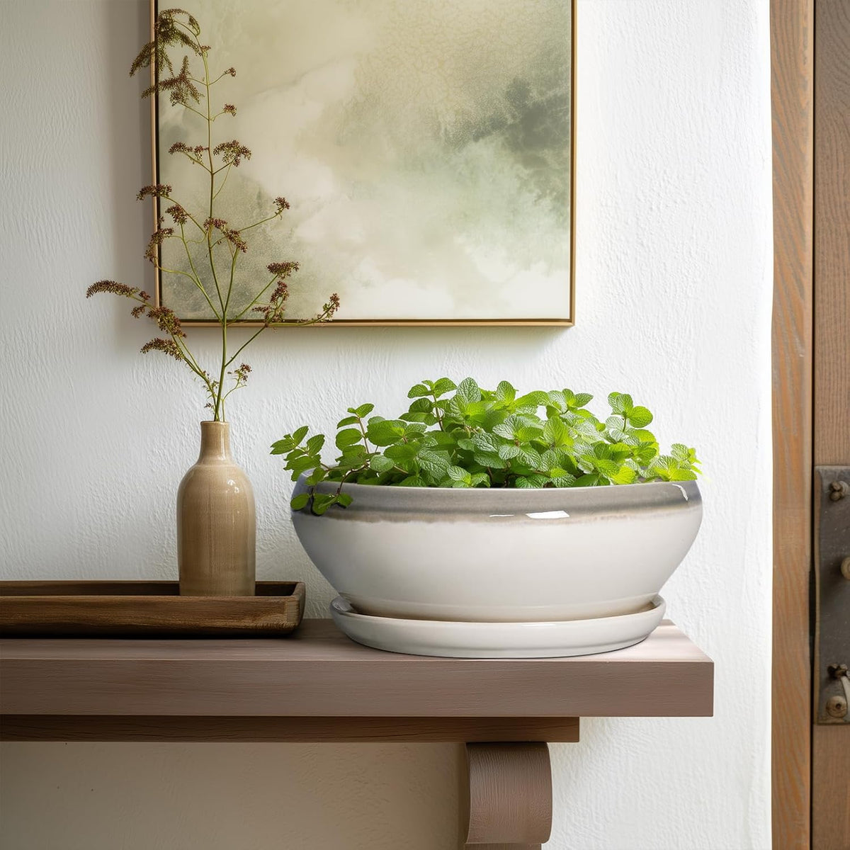 SQOWL Bonsai Pots Ceramic - 10 Inch Succulent Planters for Indoor Plants Outdoor, Shallow Round