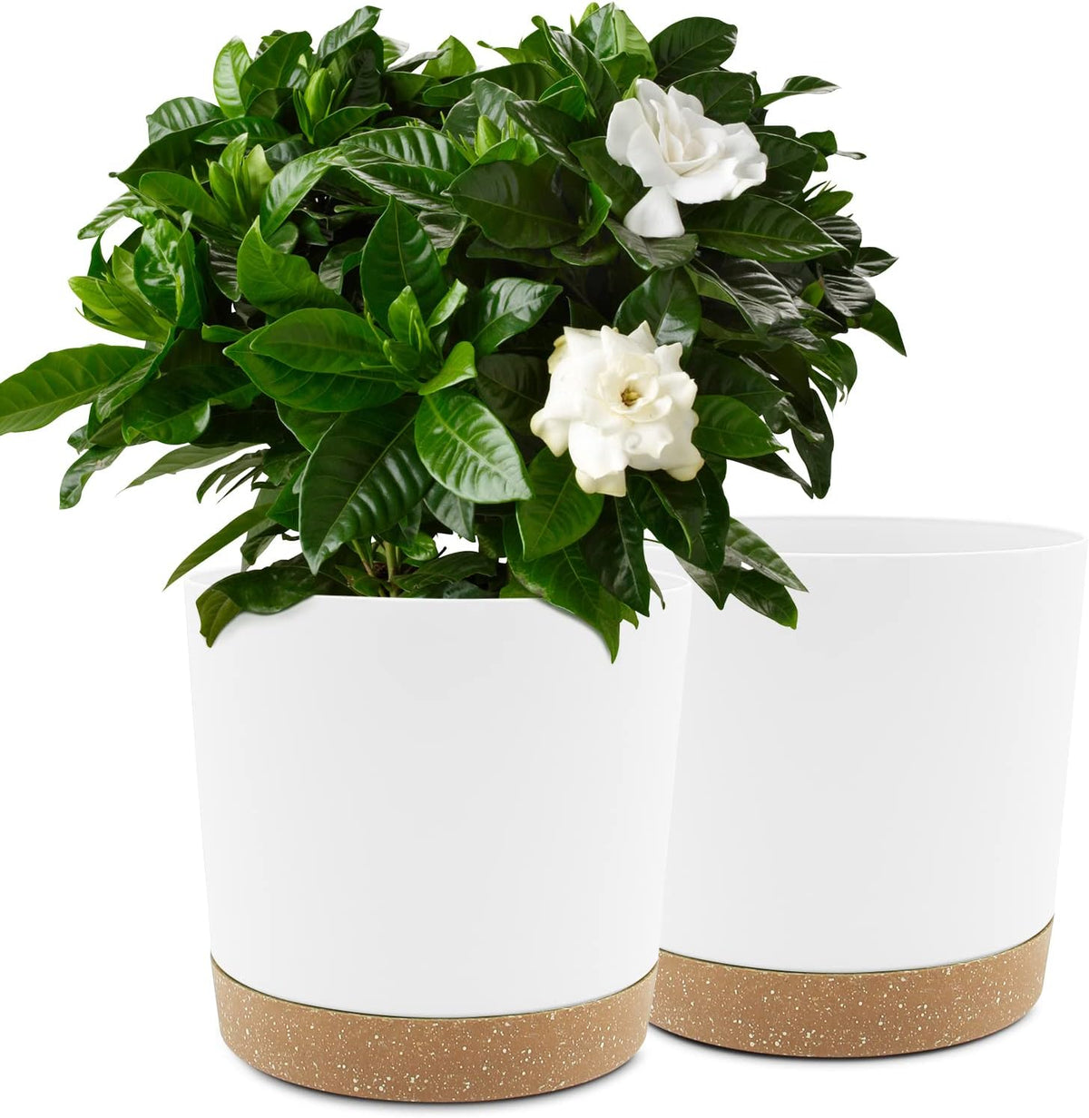 QCQHDU 10 inch Plant Pot, 2 Pack Planters for Indoor Plants with Drainage Holes & Saucer, Outdoor