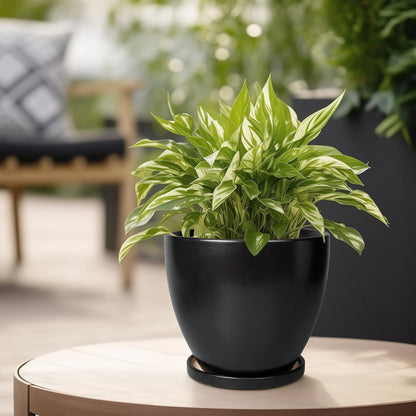 Ceramic Pots for Plants - 6.8 Inch Plant Pot with Drainage Hole and Saucer, Succulent Round Flower