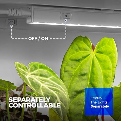 Barrina T5 Grow Lights for Indoor Plants, 3FT 128W (8 X 16W) Full Spectrum Grow Light with Separate