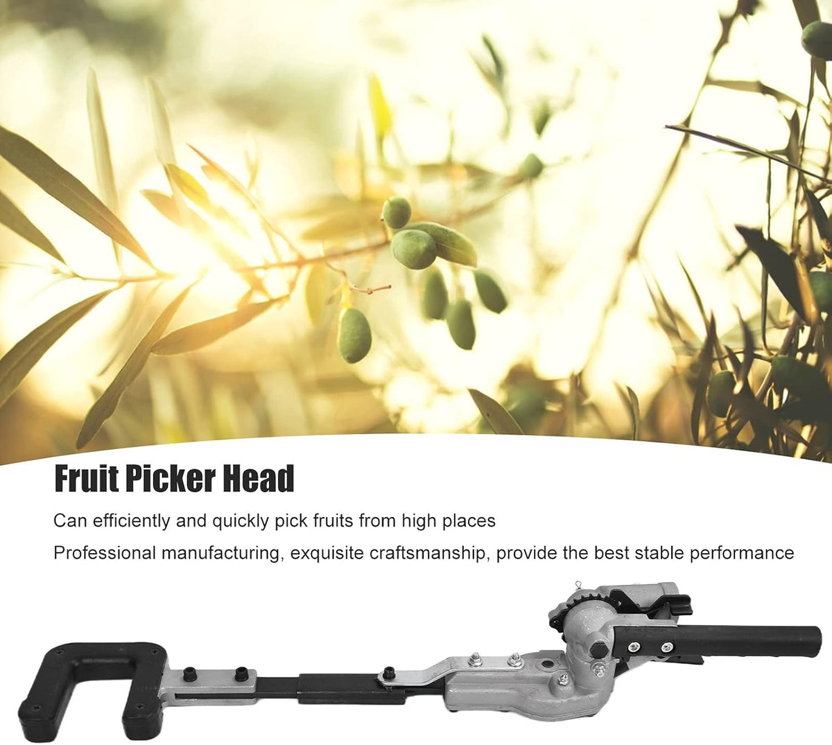Septpenta 26MM Fruit Picker Head, Efficiently and Quickly Pick from High Places, 9 Teeth Aluminium