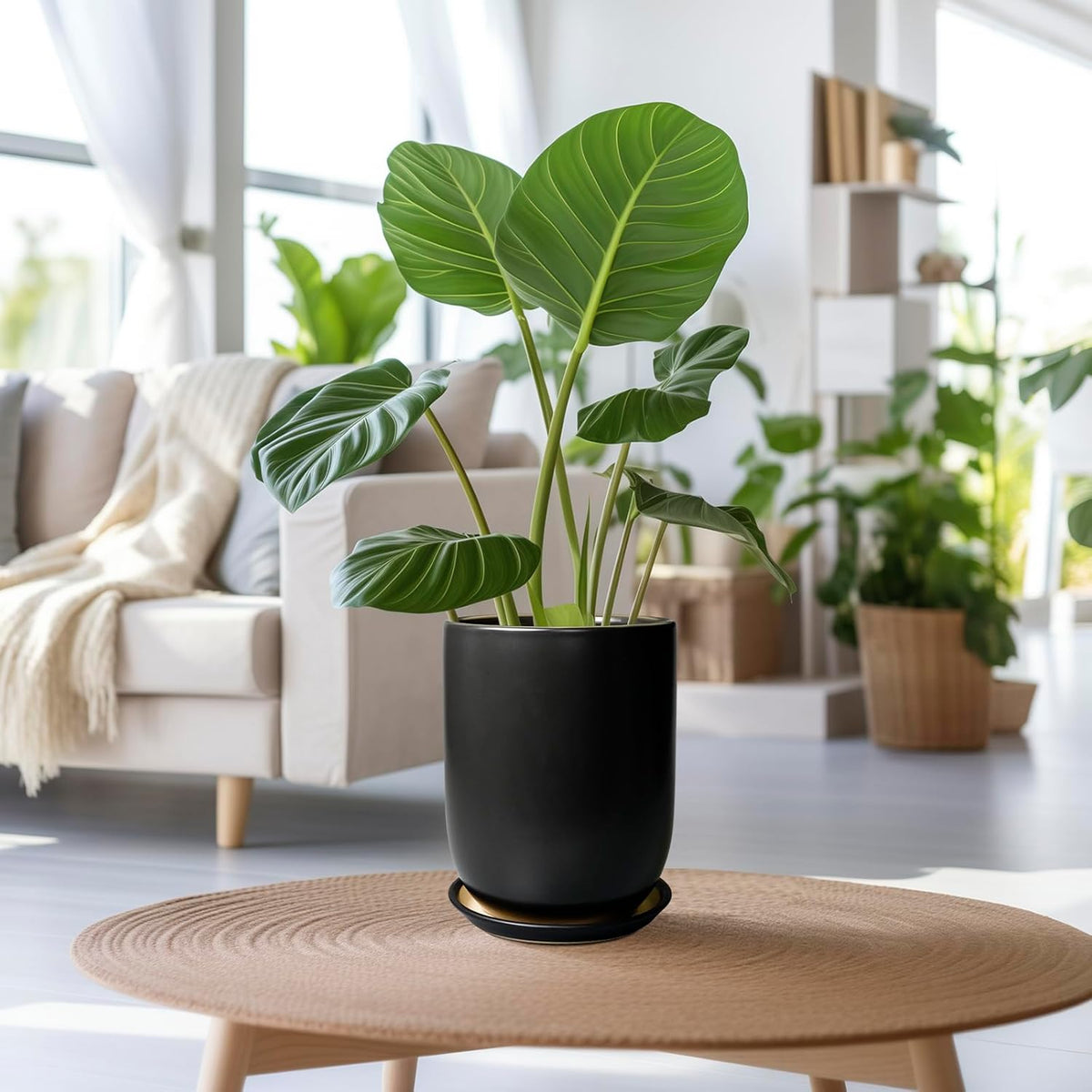 Ceramic Planter 8 Inch - Plant Pot for Indoor Outdoor Plants Cylinder Flower Pot with Drainage Hole