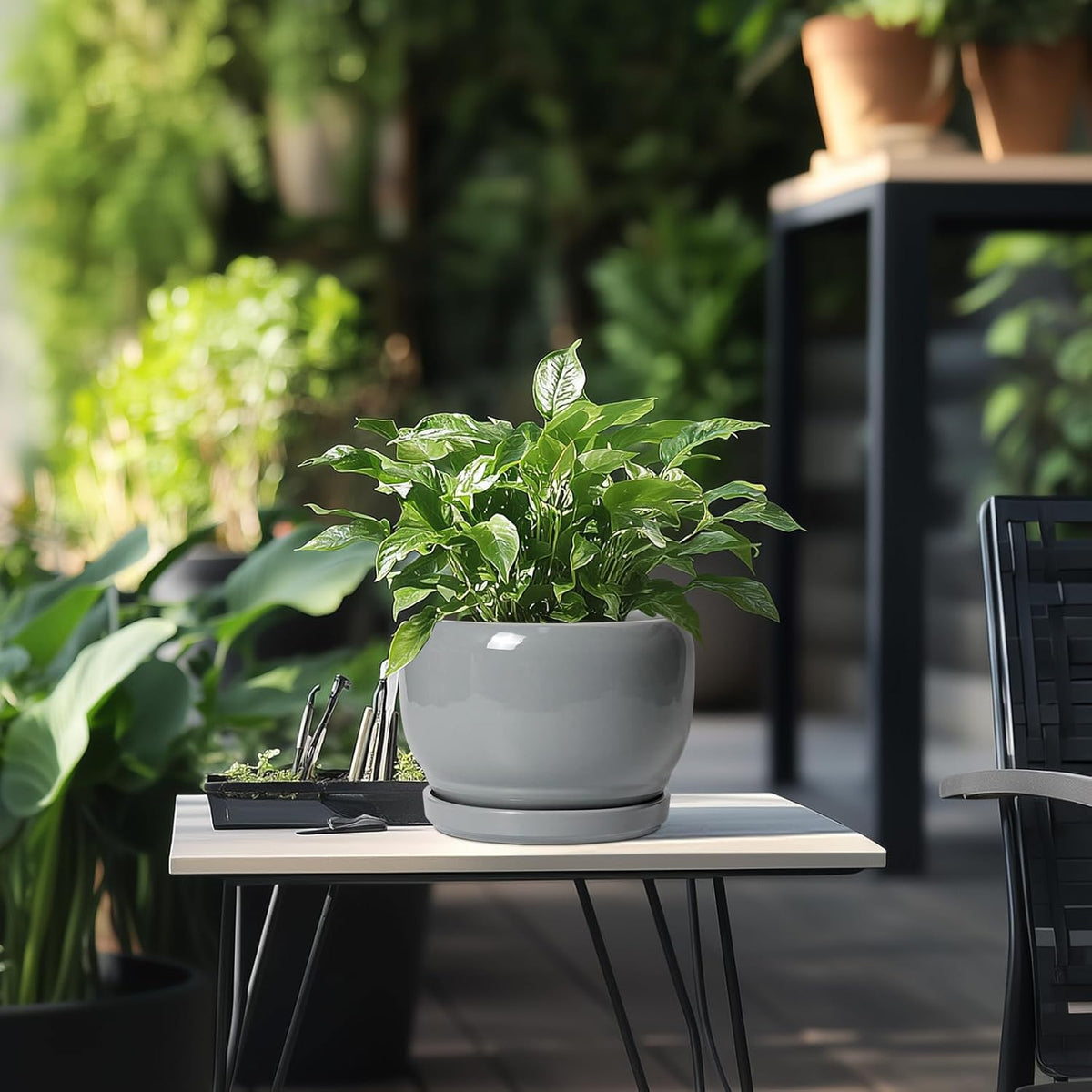 SQOWL Ceramic Pot for Plants - 8 Inch Plant Pot Indoor with Drainage Hole and Saucer, Round Planter