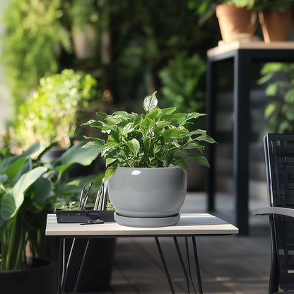 SQOWL Ceramic Pot for Plants - 8 Inch Plant Pot Indoor with Drainage Hole and Saucer, Round Planter
