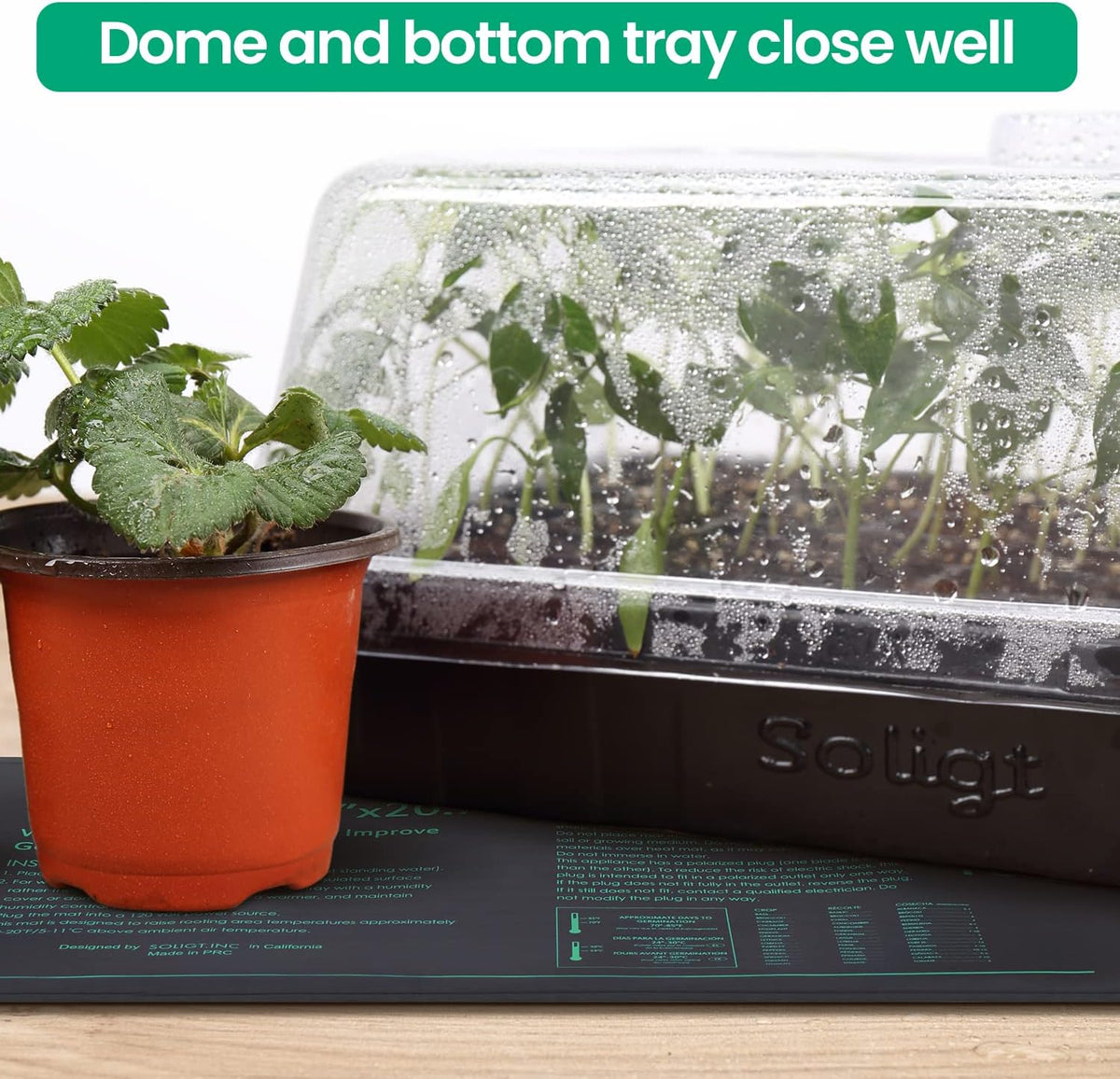 SOLIGT 2 Set 60-Cell Seed Starter Kit - Strong Seed Trays with Humidity Domes, Cell Trays and