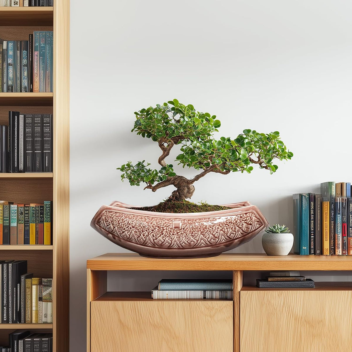 Large Bonsai Pots - 18 Inch Ceramic Succulent Pots with Drainage Hole, Bonsai Planter for Indoor
