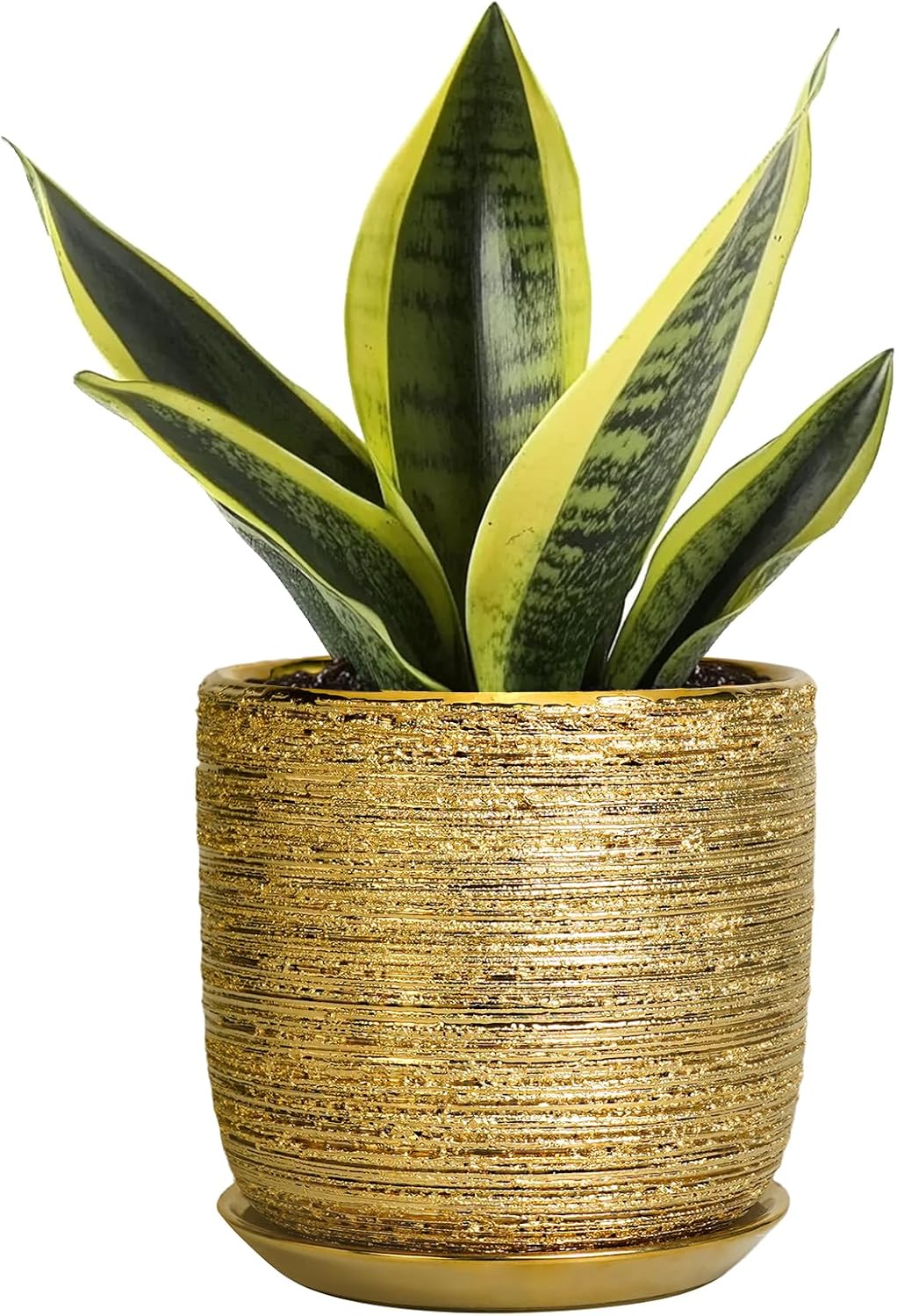 Succulent Pot 5 Inch - Ceramic Plant Pot for Indoor Flowers, Decorative Round Indoor Planter with