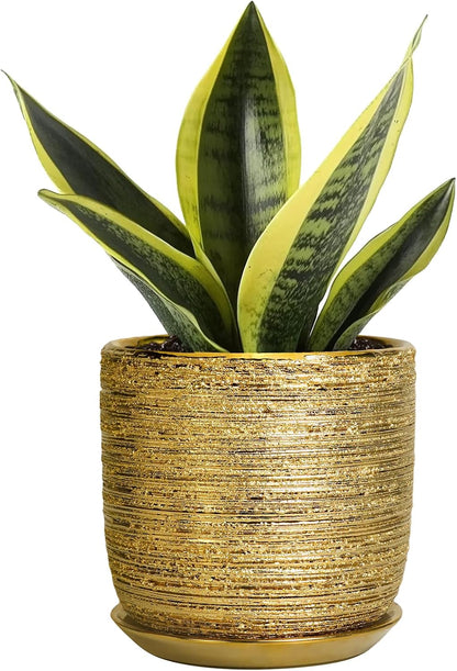 Succulent Pot 5 Inch - Ceramic Plant Pot for Indoor Flowers, Decorative Round Indoor Planter with