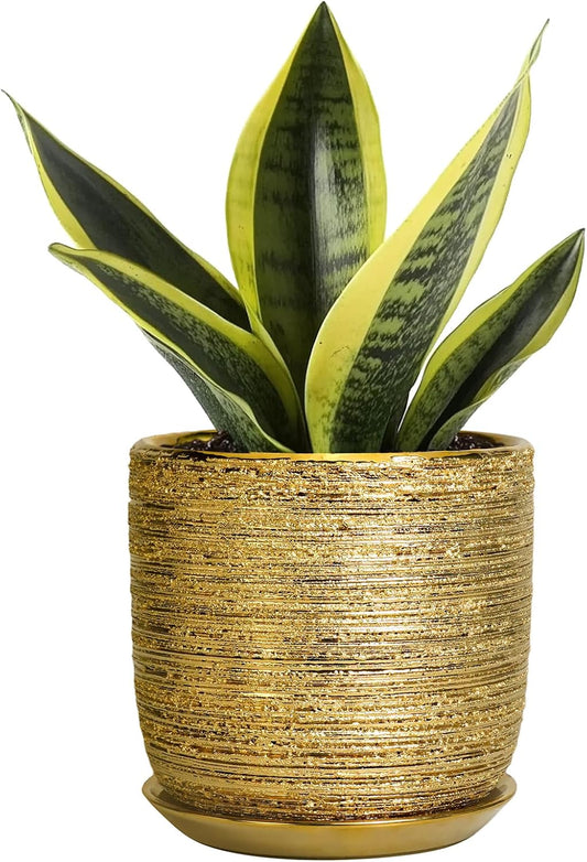 Succulent Pot 5 Inch - Ceramic Plant Pot for Indoor Flowers, Decorative Round Indoor Planter with