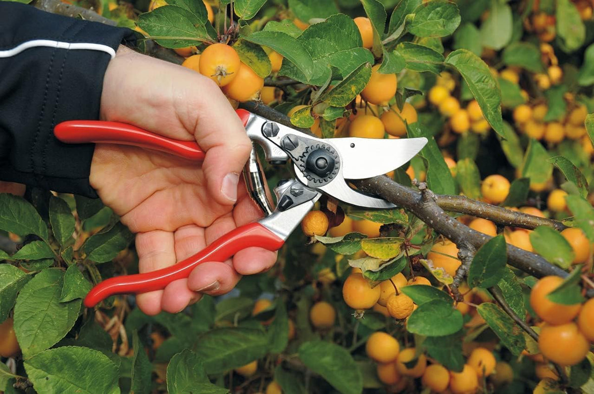 Felco F9 Pruning Shears – 8.3" Swiss-Made Left-Handed Garden Clippers with 1" Cutting Capacity |