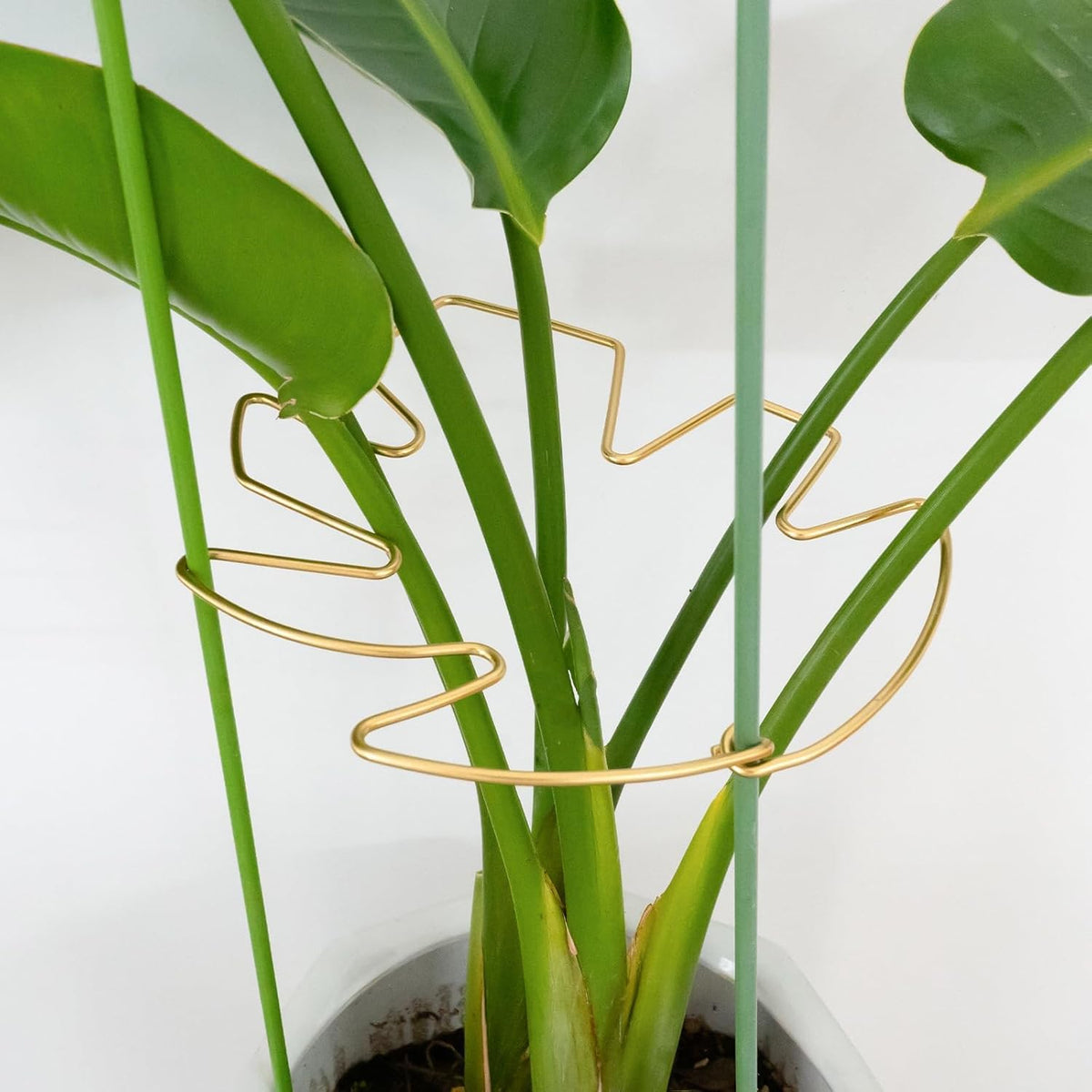 5PCS Durable Monstera Plant Stem Support Stake with Adjustable Leaf Holders - Plant Support Kit for