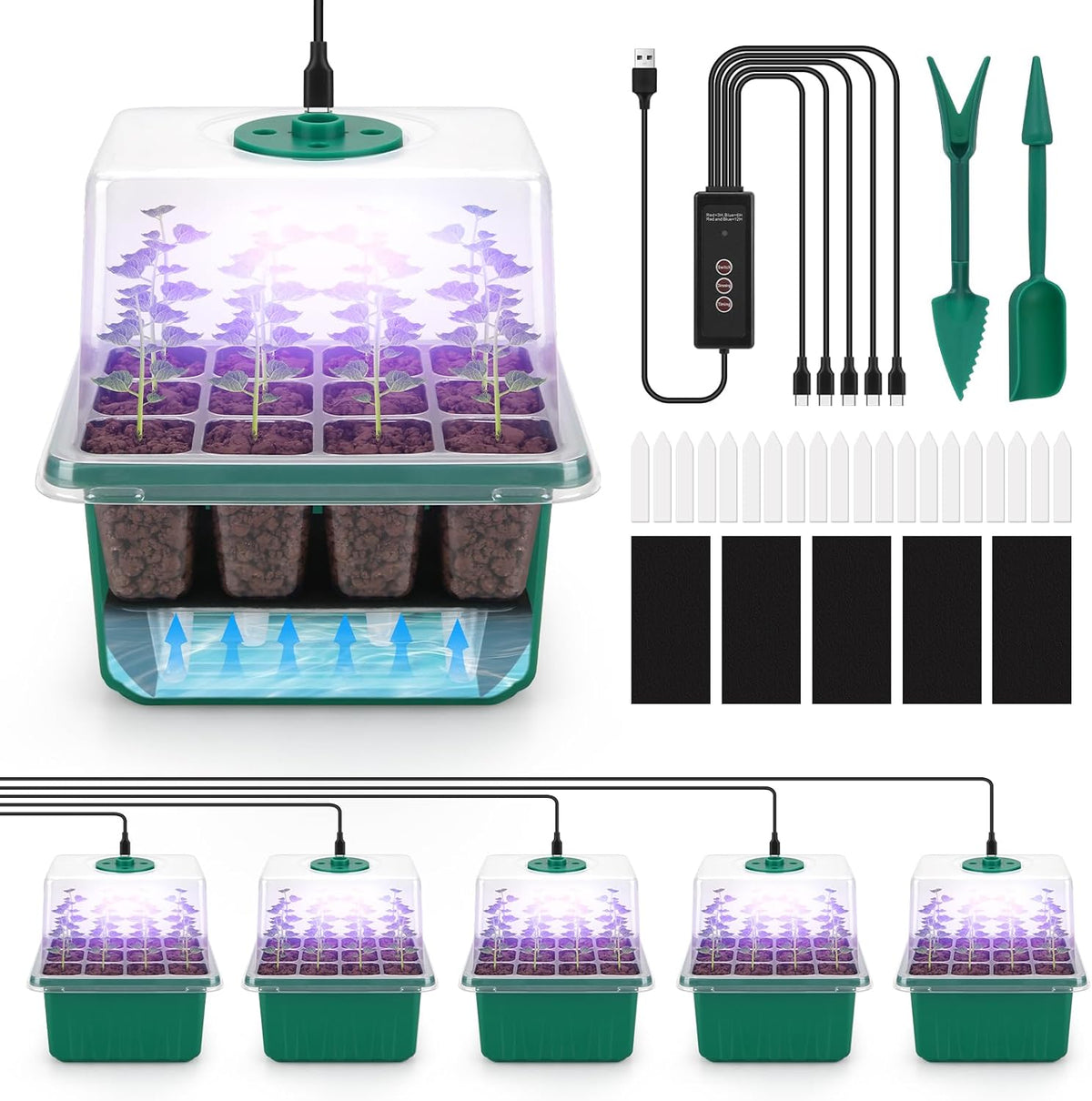BlumWay Self-Watering Seed Starter Tray Kit with Grow Light and Humidity Dome,3 Color Growing