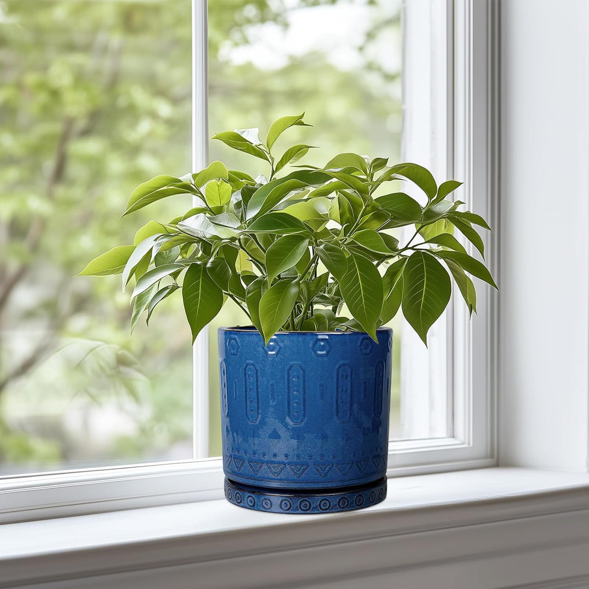 6 Inch Plant Pot - Ceramic Planter for Outdoor Plants Indoor Plant Pot with Drainage Holes and