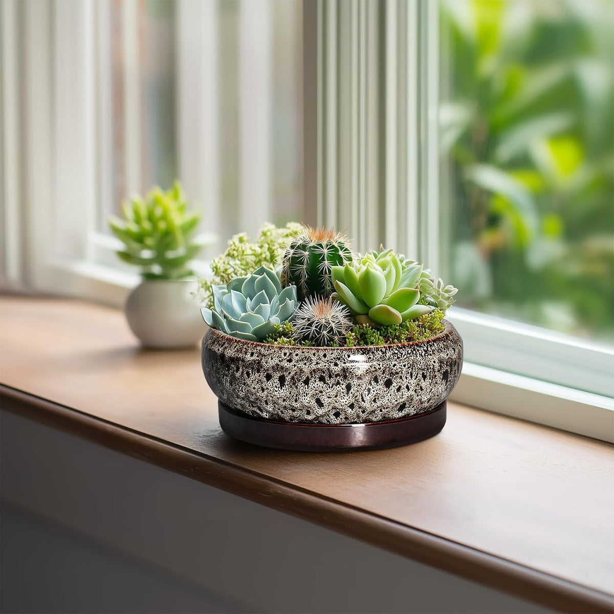 Succulent Planter 6 Inch - Ceramic Bonsai Pots with Drainage Hole and Tray, Shallow Plant Pot