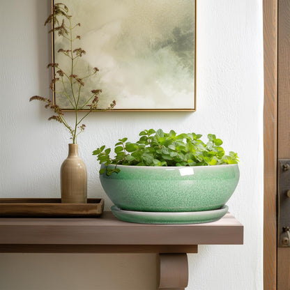 SQOWL Bonsai Pots - 10 Inch Ceramic Succulent Pots with Drainage Hole and Saucer, Shallow Planter