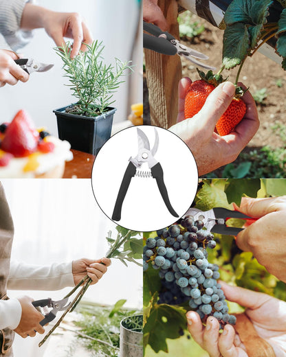 Pruning Shears for Gardening, 2 Pack Garden Scissors for Cutting Fresh Flowers, Floral Clippers for