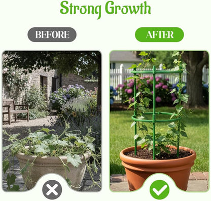 Plant Support Stakes, 2025 Upgraded Tomato Cages for Garden, Garden Flower Stakes, Round Plants