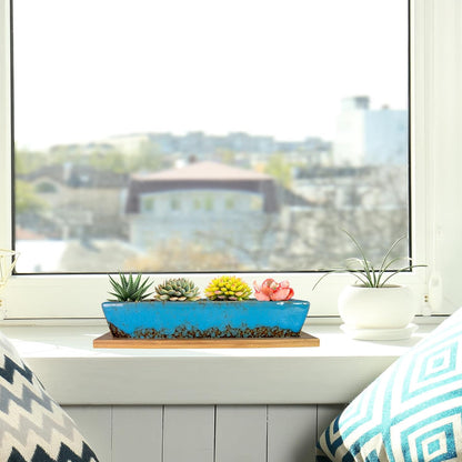 ARTKETTY Succulent Pots, 9.8 Inch Ceramic Succulent Planters with Drainage Small Bonsai Pot with