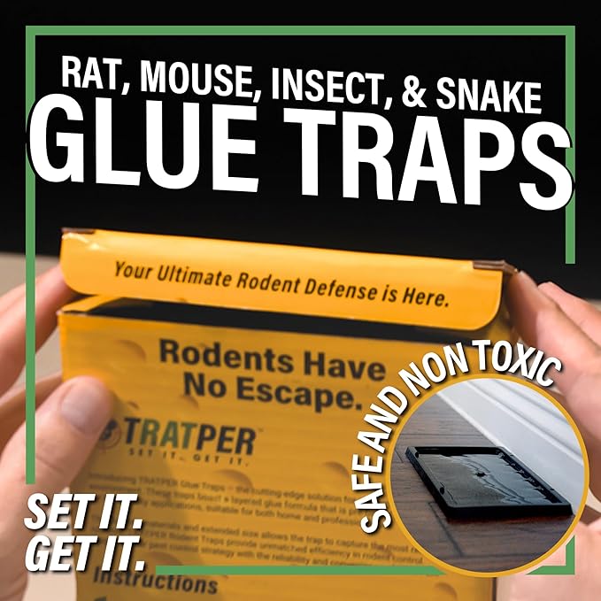 Glue Traps for Mice,Rat,Mouse,Snake,Lizard,Insect. 10 Pack. Extra Strength,Pre-Baited