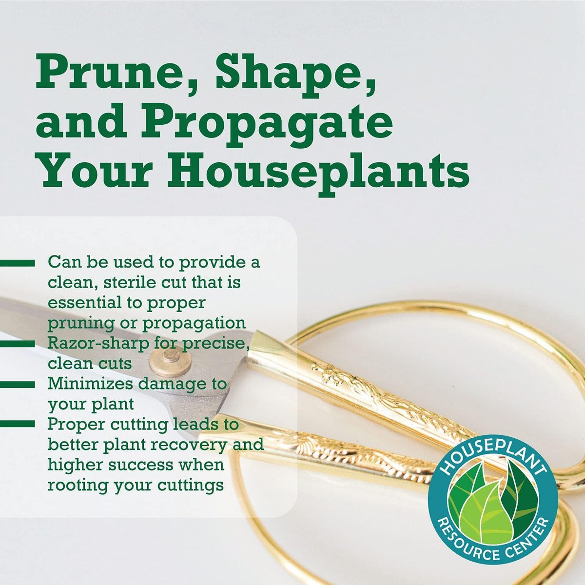Premium Houseplant Scissors | 100% Stainless Steel, Ultra-Precise Garden Clippers for Propagation &