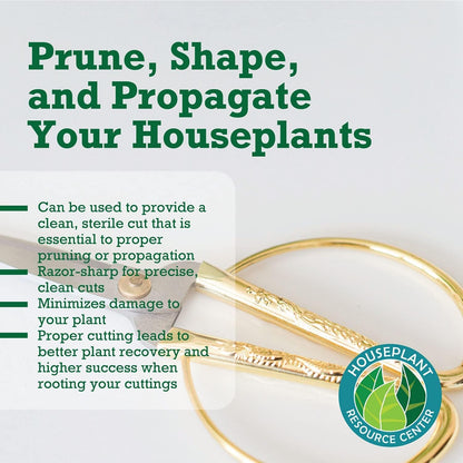 Premium Houseplant Scissors | 100% Stainless Steel, Ultra-Precise Garden Clippers for Propagation &