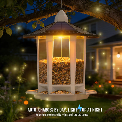 Birdream 2 Pack Solar Bird Feeders for Outdoors Hanging, Assembly Required, 1-Min Easy Setup, Wild