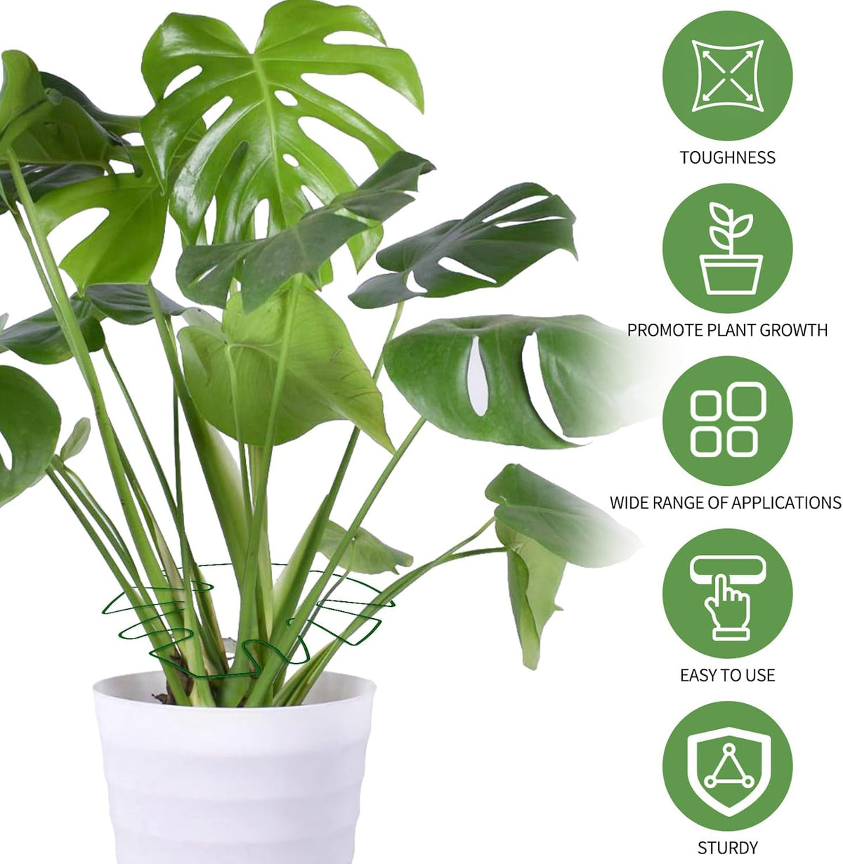 Spiritlele 5 Pcs Green Plant Stem Support Holder Set Monstera Plant Support Clamp Growth