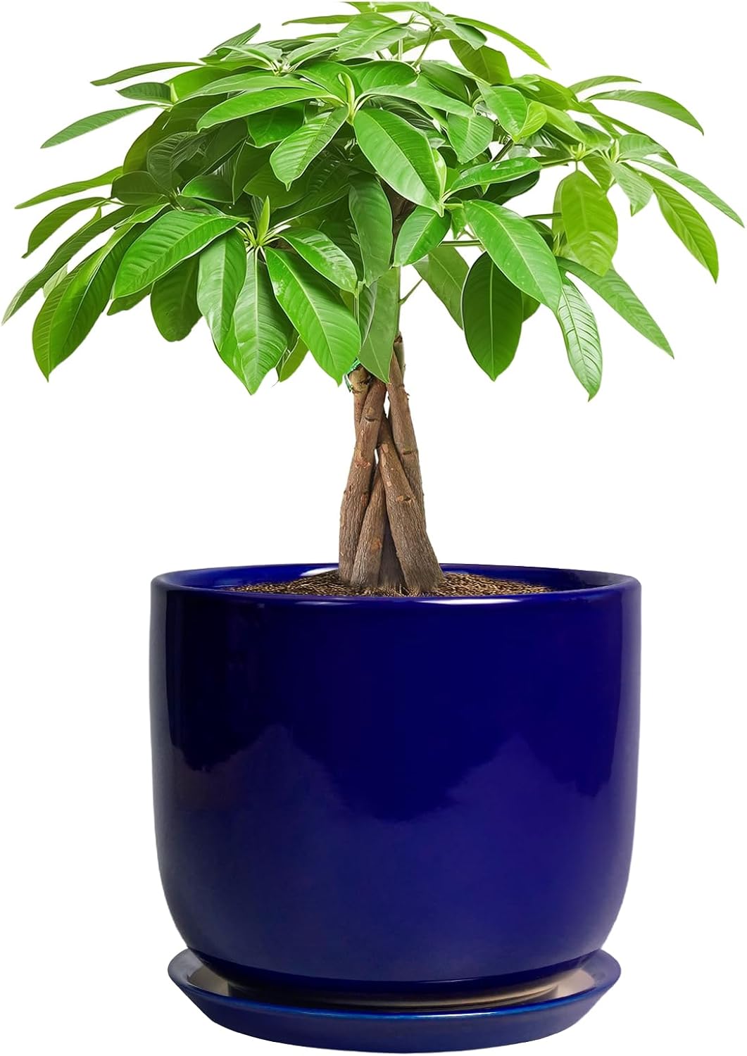Ceramic Flower Pot 7 Inch - Cylinder 7 Inch Round Planter for Cactus Orchid Plants with Drainage
