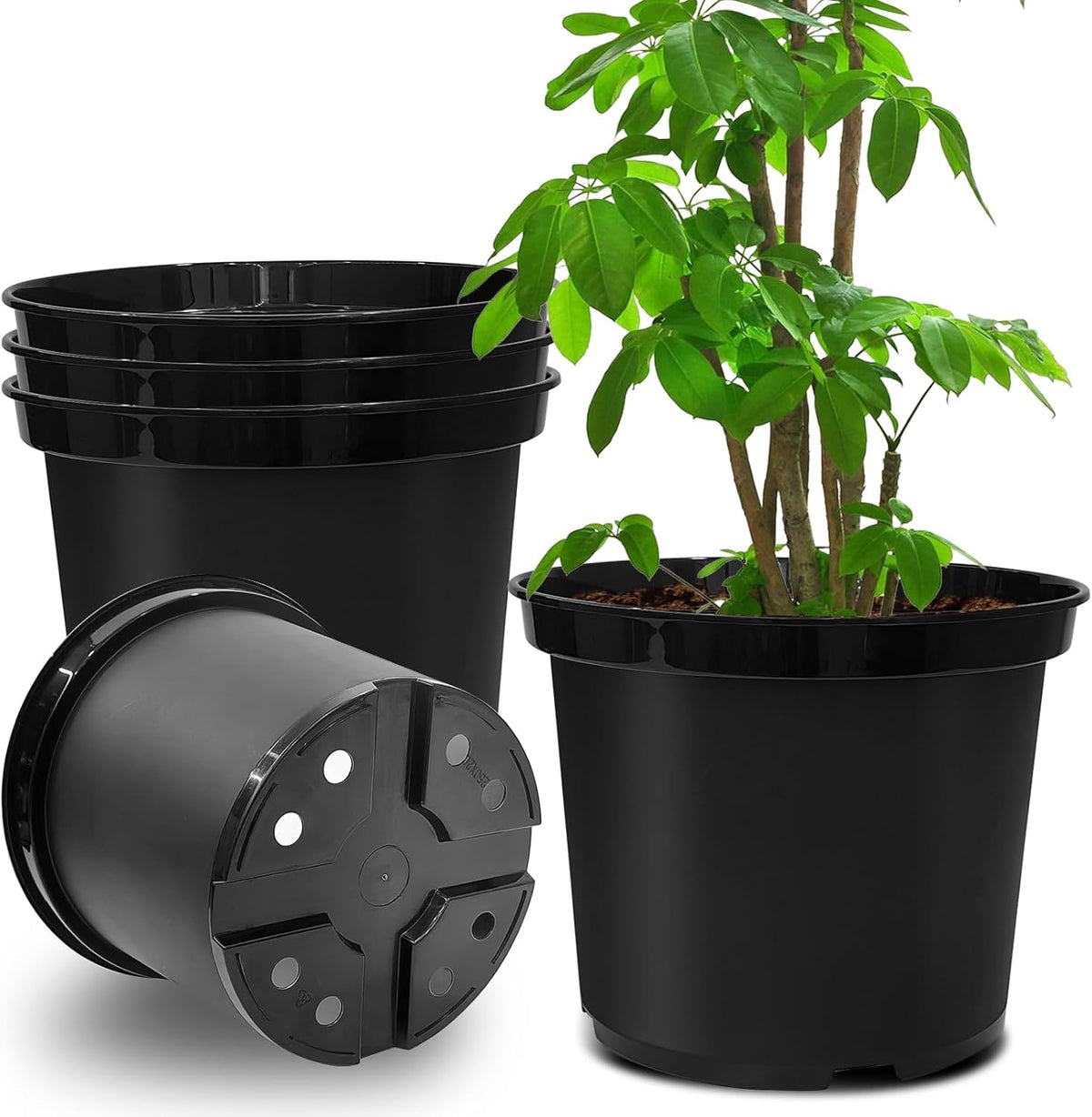 5 Gallon 12 Inch Plastic Nursery Pots, Plant Containers with Drainage Holes, Round Sturdy Garden