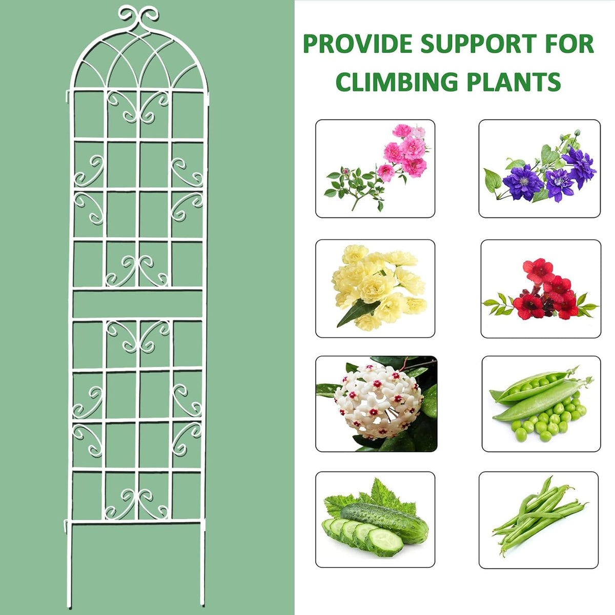 2 Pack Metal Garden Trellis 71" H Fence Rustproof Garden Trellis for Climbing Plants Support Roses