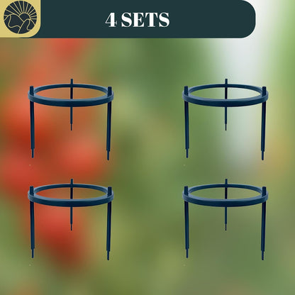 SunVara Small Tomato Cage for Pots Mini Tomato Cage Trellis 9'' Each 36'' in Total with Gloves