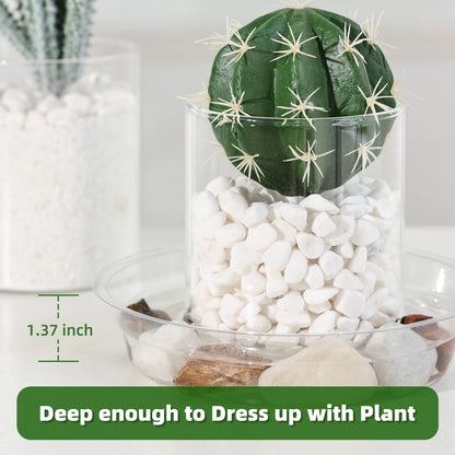 TRUEDAYS 20 Pack Plant Saucers (6 inch / 8inch / 10inch / 12inch) Clear Plant Saucers Flower Pot